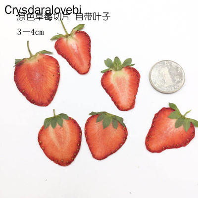 말린 프레스 혼합 과일 조각 공장 식물 표본 상자 보석 - Dried Fruit Mix 리뷰 및 가격